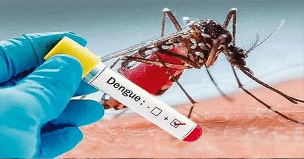 দেশে ডেঙ্গুতে আরো ২ জনের মৃত্যু, হাসপাতালে ভর্তি ৩২৭